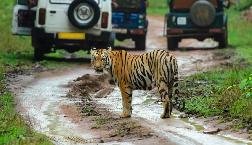 Golden Triangle & Rajasthan Wildlife Tour