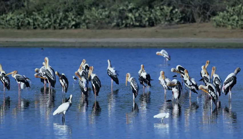 Keoladeo National Park
