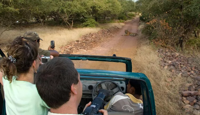 Rajasthan Wildlife Safari Tour